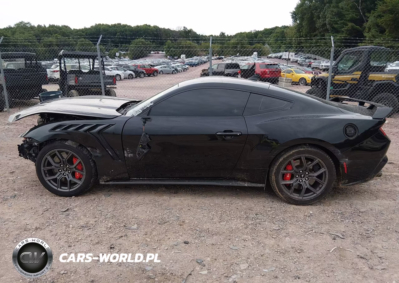 2024 Ford Mustang Ecoboost Fastback VIN:1FA6P8TH5R5102776 - 15