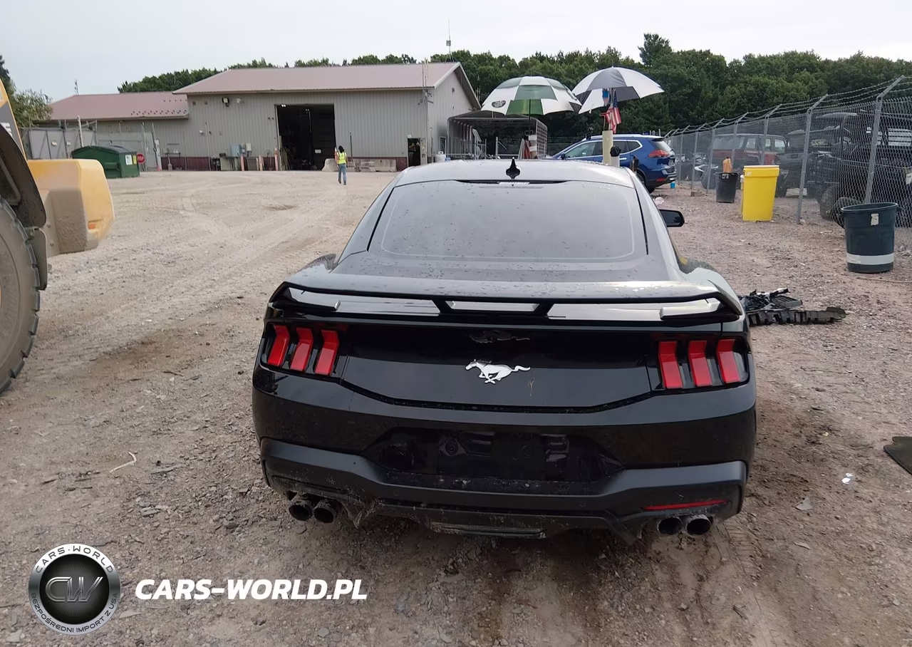 2024 Ford Mustang Ecoboost Fastback VIN:1FA6P8TH5R5102776 - 17