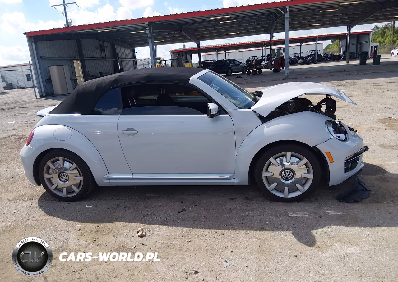 2019 Volkswagen Beetle 2.0T Final Edition Se-2.0T Final Edition Sel-2.0T S-2.0T Se VIN:3VW5DAAT3KM501860 - 12