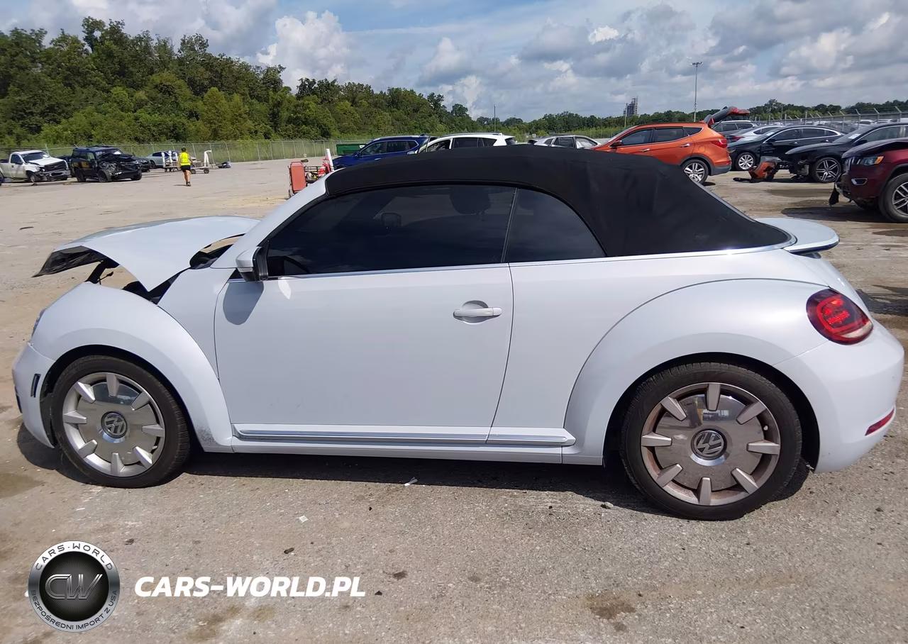 2019 Volkswagen Beetle 2.0T Final Edition Se-2.0T Final Edition Sel-2.0T S-2.0T Se VIN:3VW5DAAT3KM501860 - 13