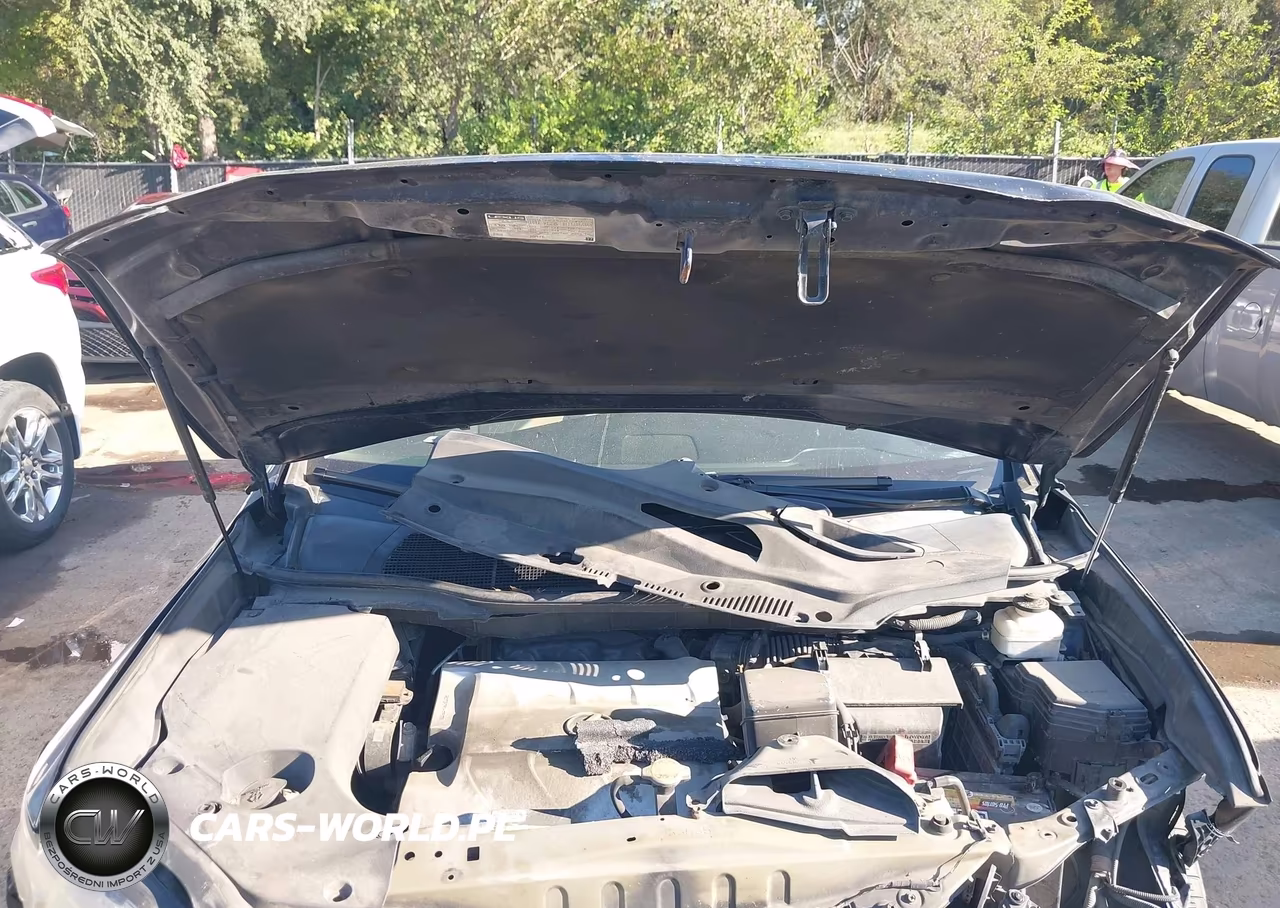 2010 Lexus Rx 350 VIN:2T2BK1BA0AC056845 - 10