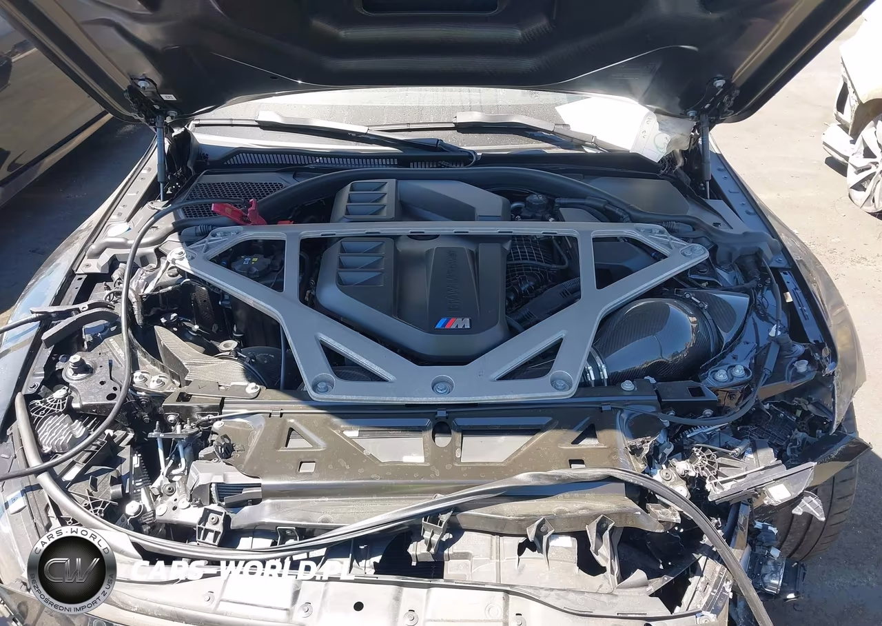 2023 BMW M4 Csl VIN:WBS63AZ09PCM73438 - 10
