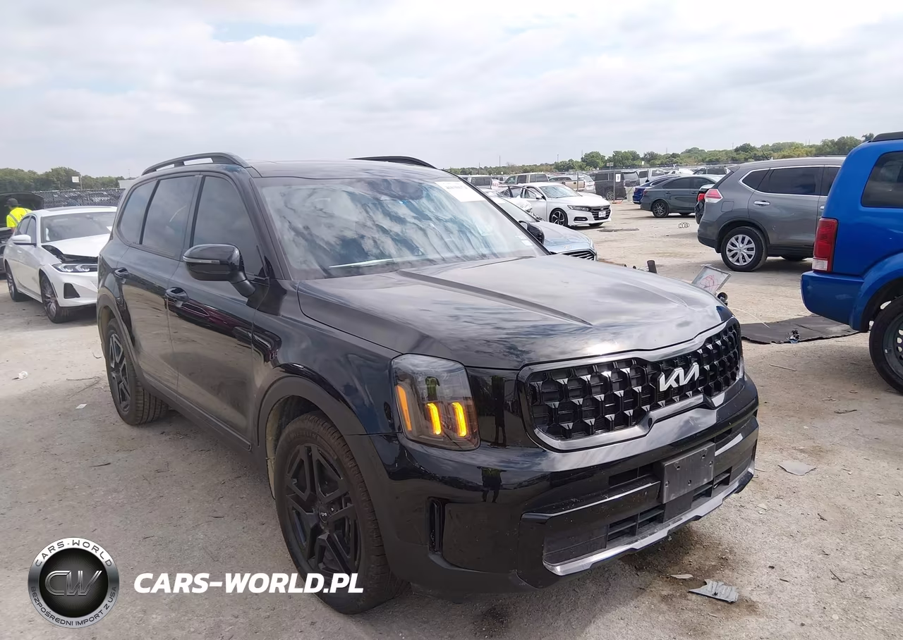 2024 Kia Telluride Ex X-Line VIN:5XYP3DGC8RG504543 - 1