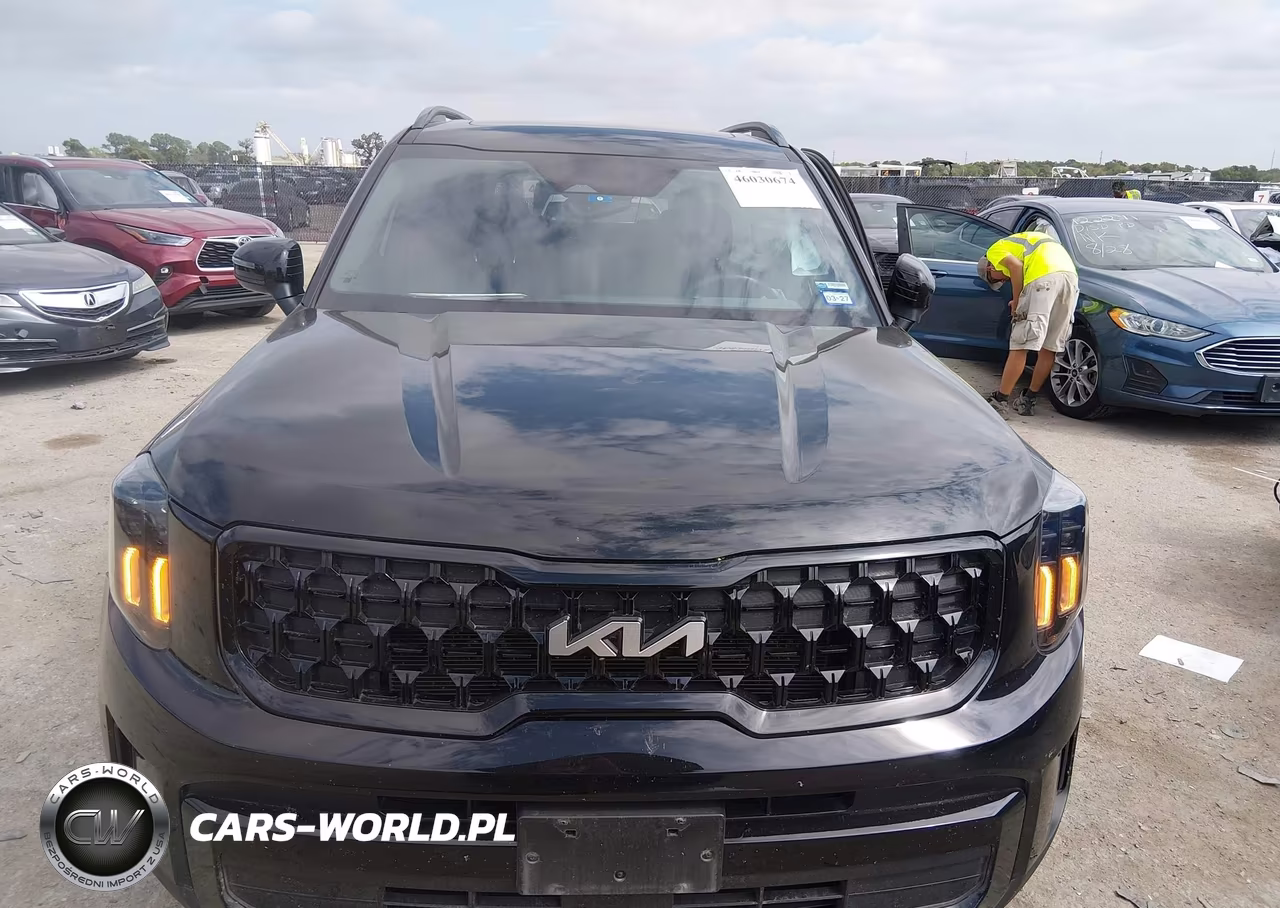2024 Kia Telluride Ex X-Line VIN:5XYP3DGC8RG504543 - 12