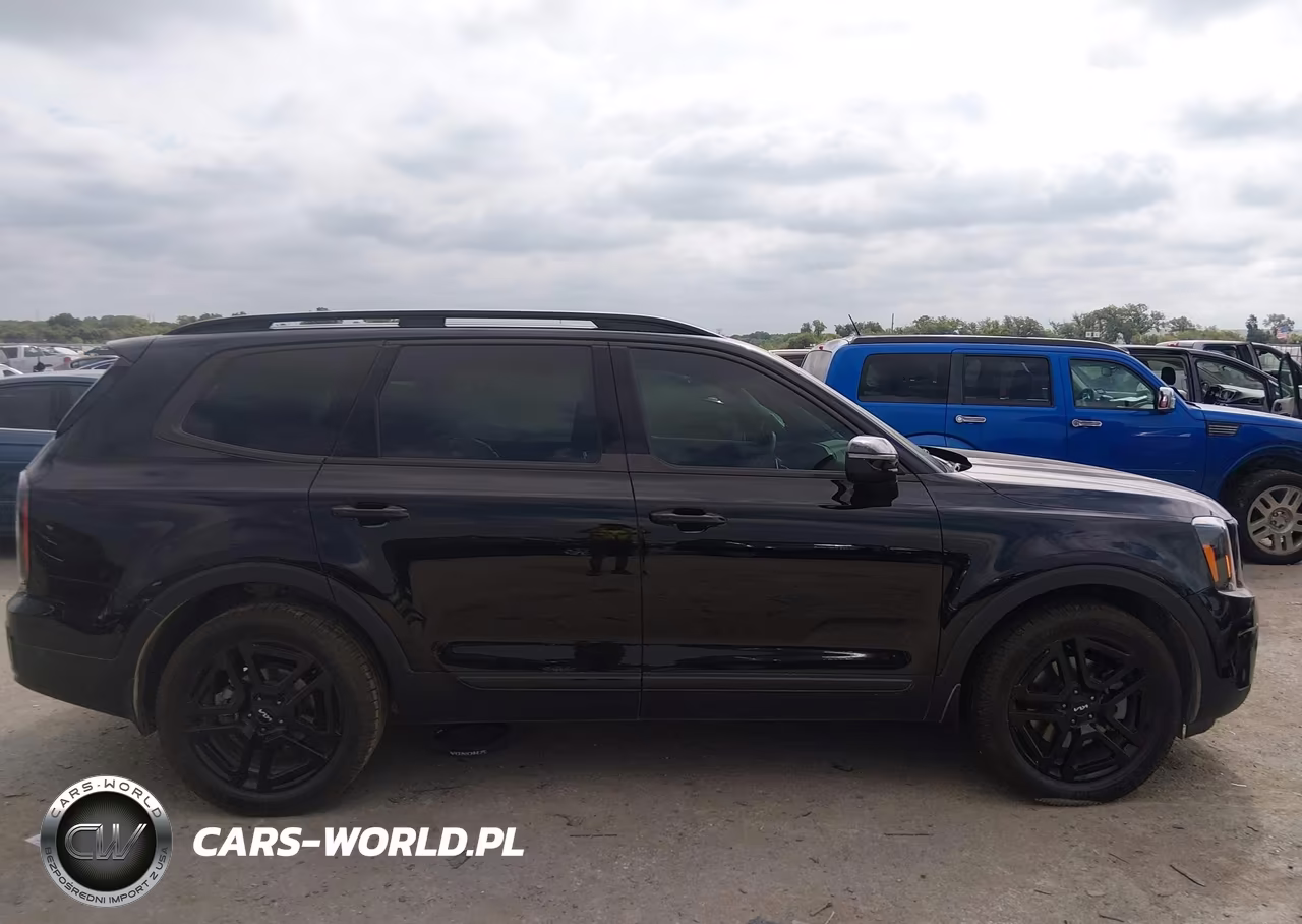 2024 Kia Telluride Ex X-Line VIN:5XYP3DGC8RG504543 - 13