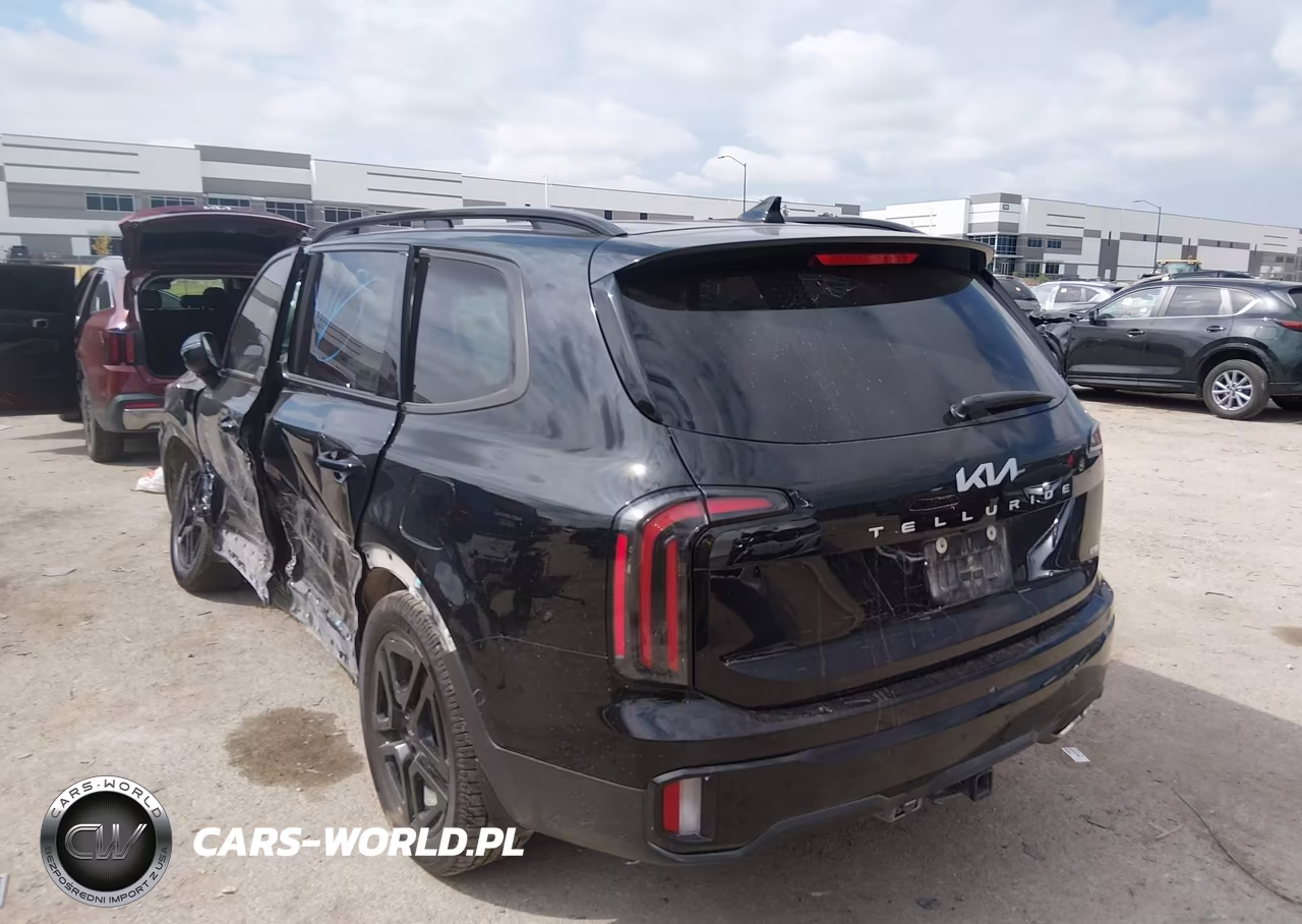2024 Kia Telluride Ex X-Line VIN:5XYP3DGC8RG504543 - 3