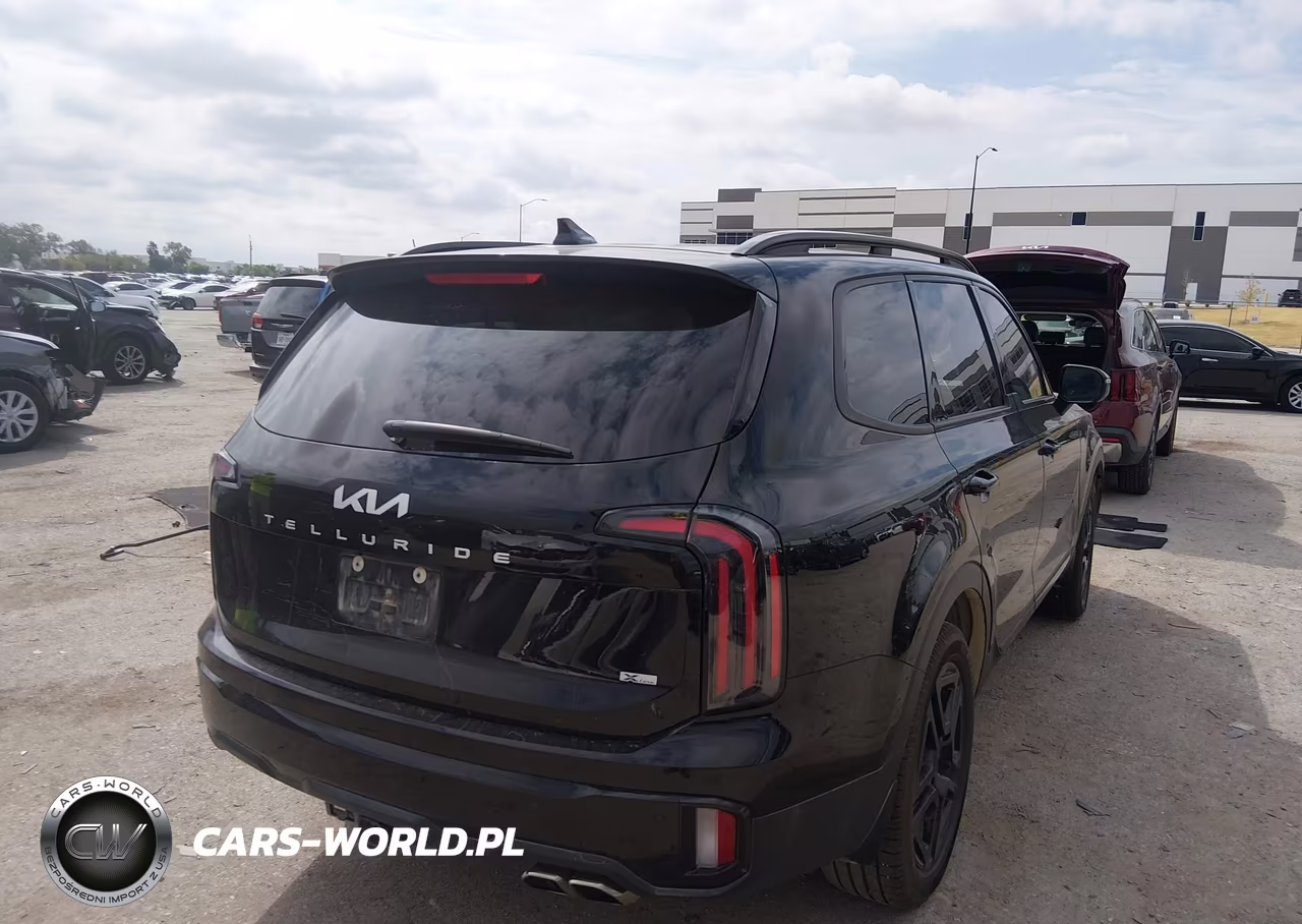 2024 Kia Telluride Ex X-Line VIN:5XYP3DGC8RG504543 - 4
