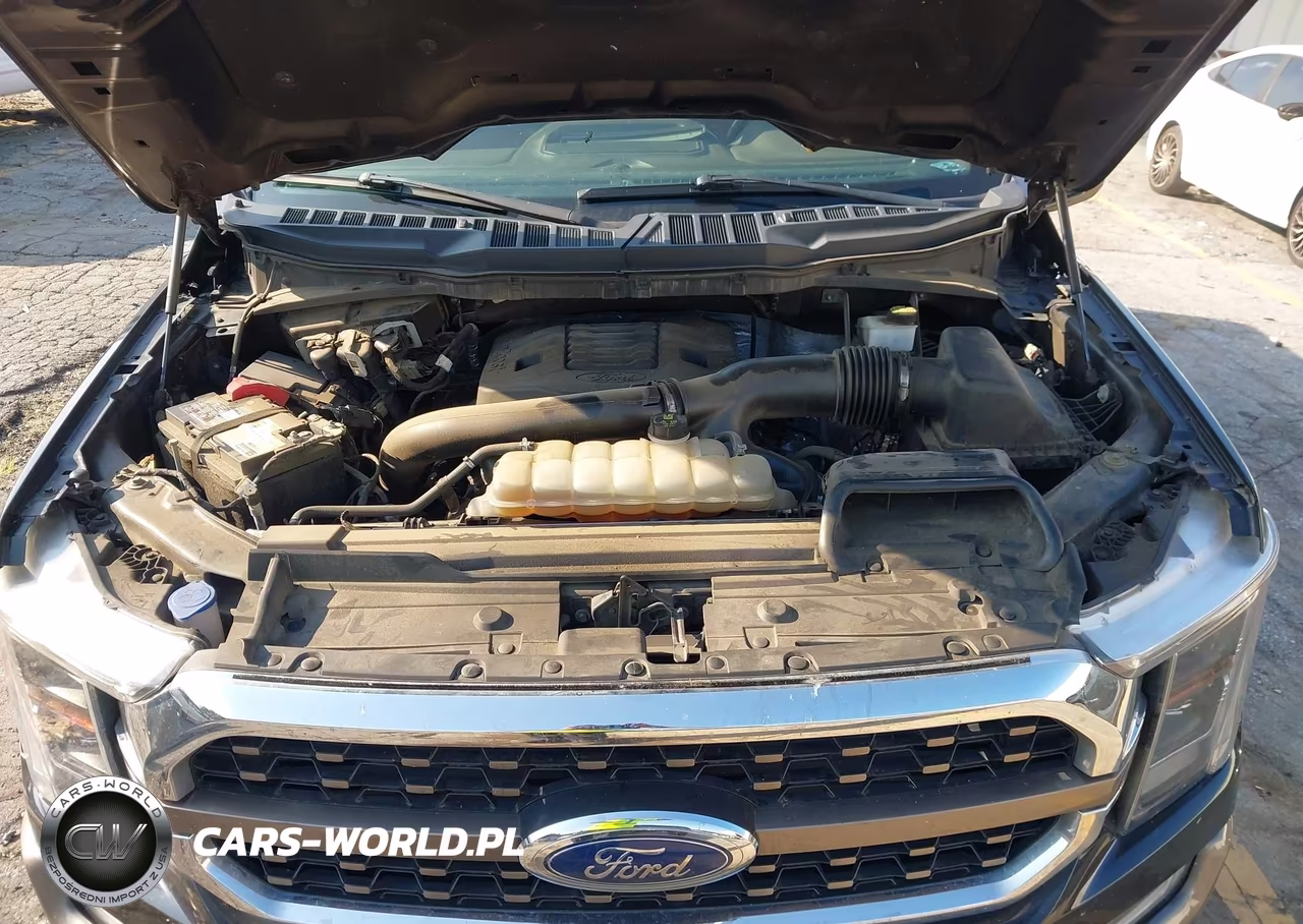 2023 Ford F-150 King Ranch VIN:1FTEW1C80PFA85957 - 10