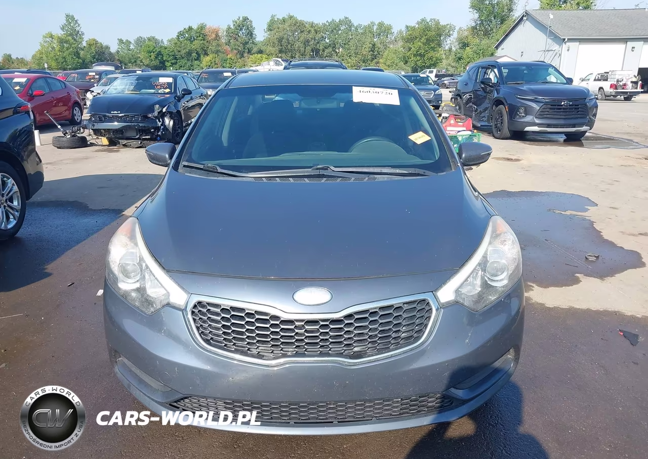 2014 Kia Forte Lx VIN:KNAFX4A69E5144122 - 12