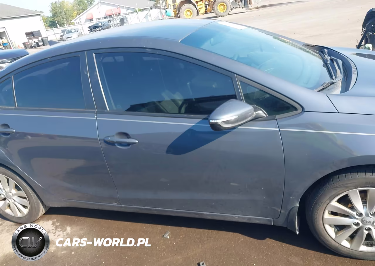 2014 Kia Forte Lx VIN:KNAFX4A69E5144122 - 13