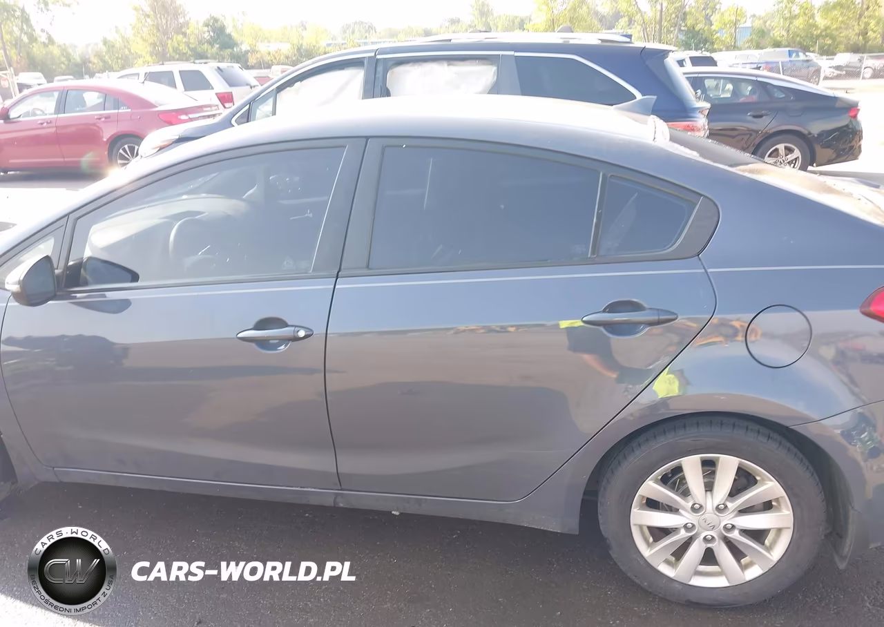 2014 Kia Forte Lx VIN:KNAFX4A69E5144122 - 14