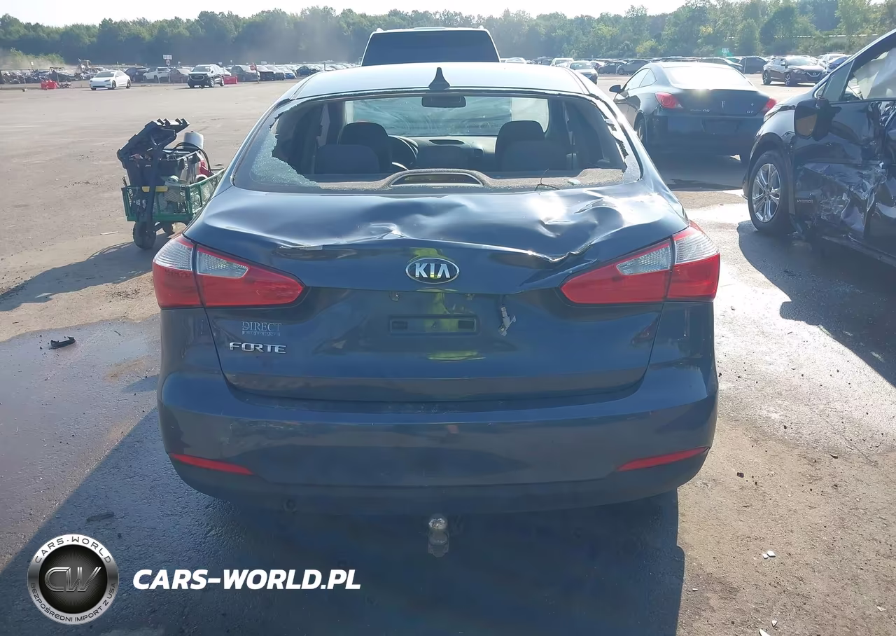 2014 Kia Forte Lx VIN:KNAFX4A69E5144122 - 16