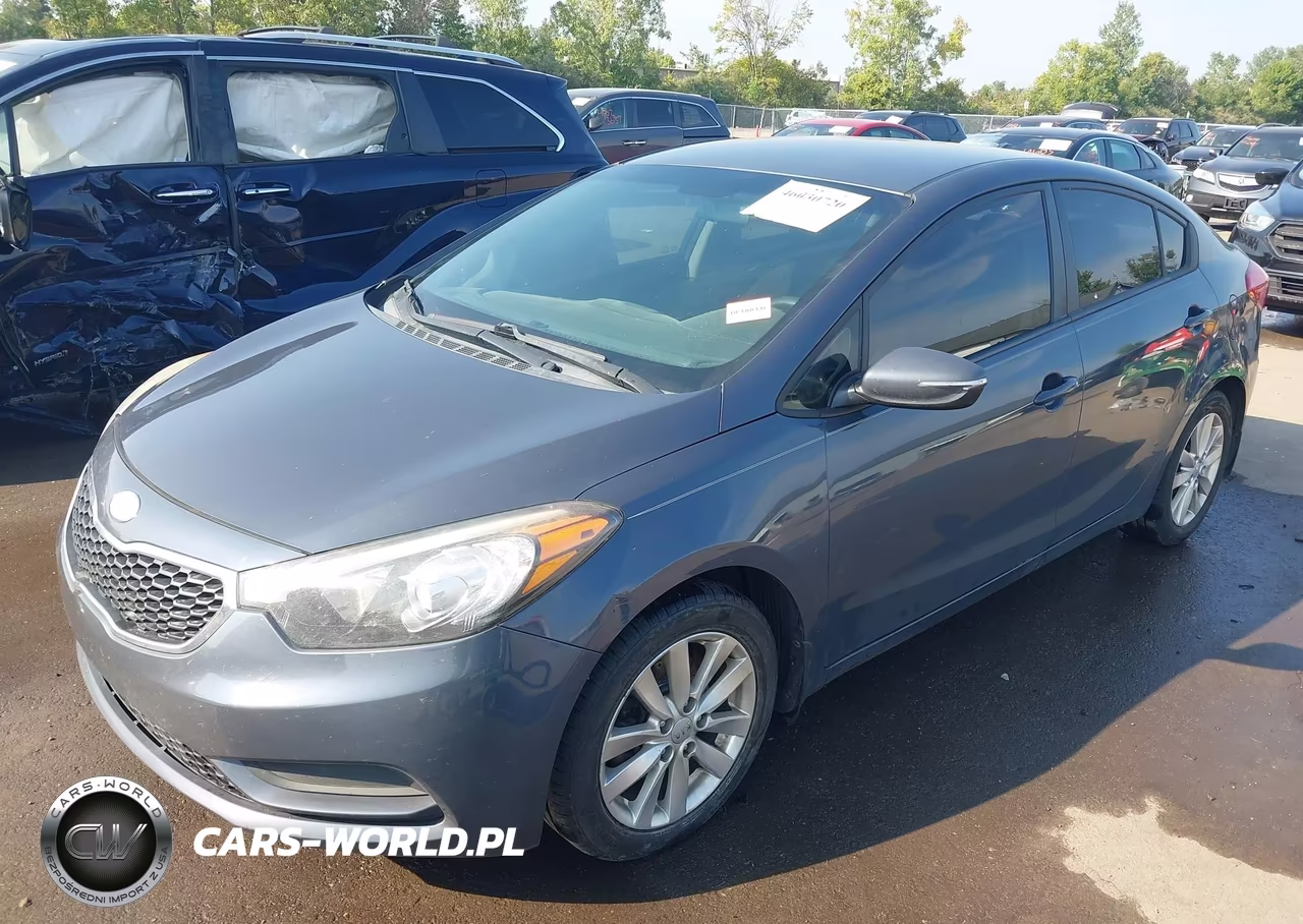 2014 Kia Forte Lx VIN:KNAFX4A69E5144122 - 2
