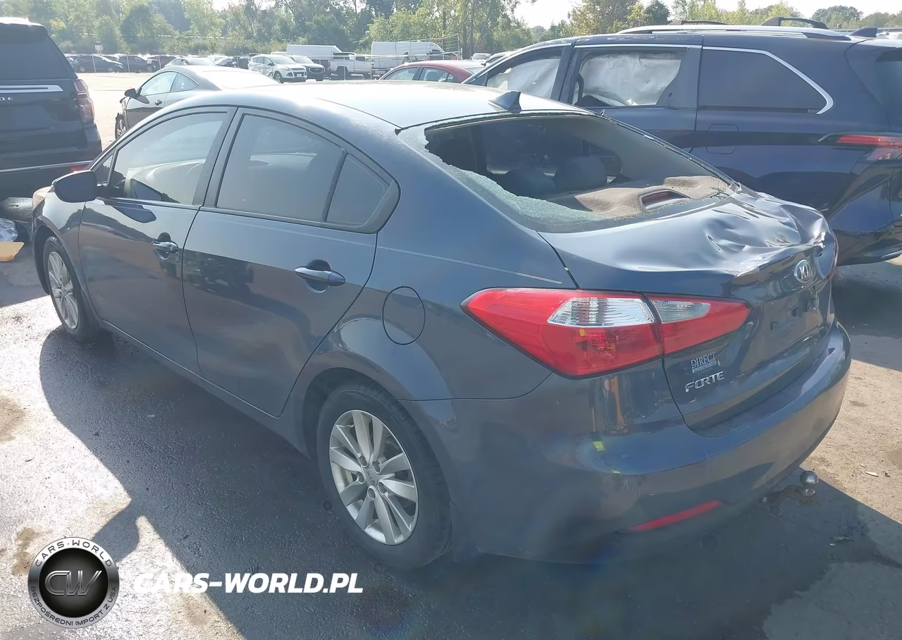 2014 Kia Forte Lx VIN:KNAFX4A69E5144122 - 3