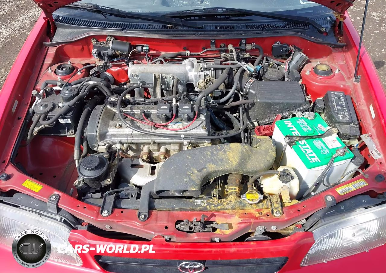 1997 Toyota Tercel Ce VIN:JT2AC52L5V0241780 - 10