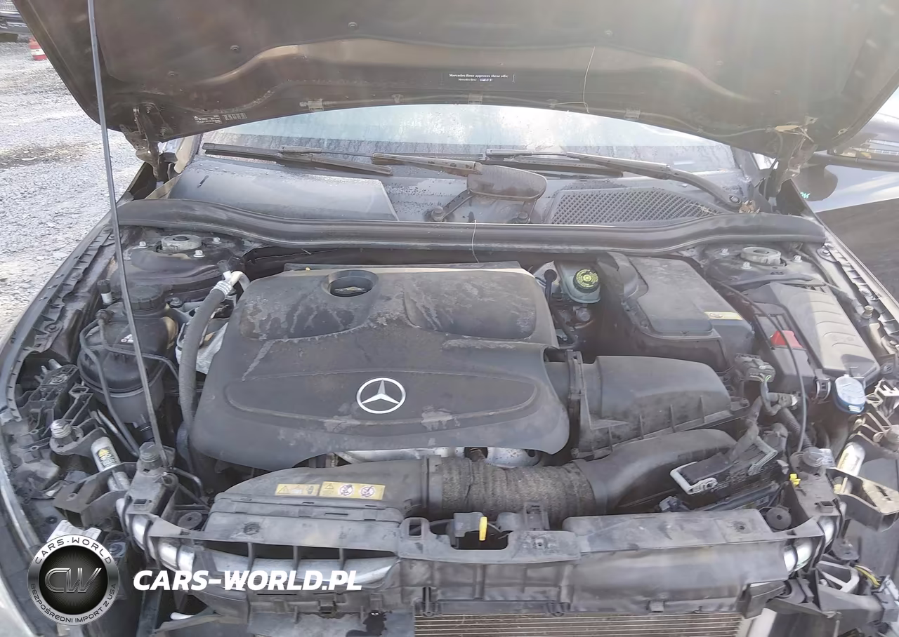 2015 Mercedes-Benz Cla 250 VIN:WDDSJ4EB5FN165373 - 10