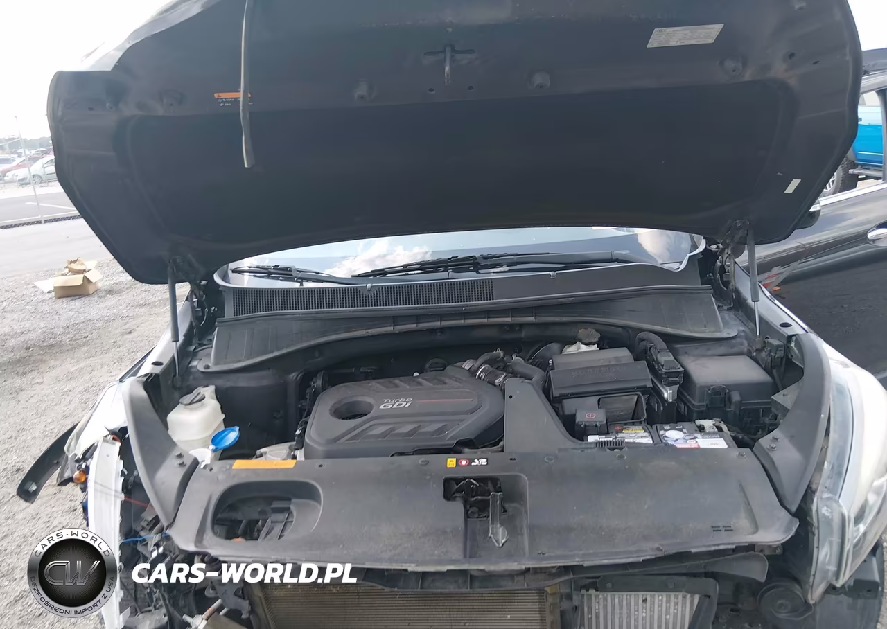 2018 Kia Sorento 2.0T Ex VIN:5XYPH4A17JG362652 - 10