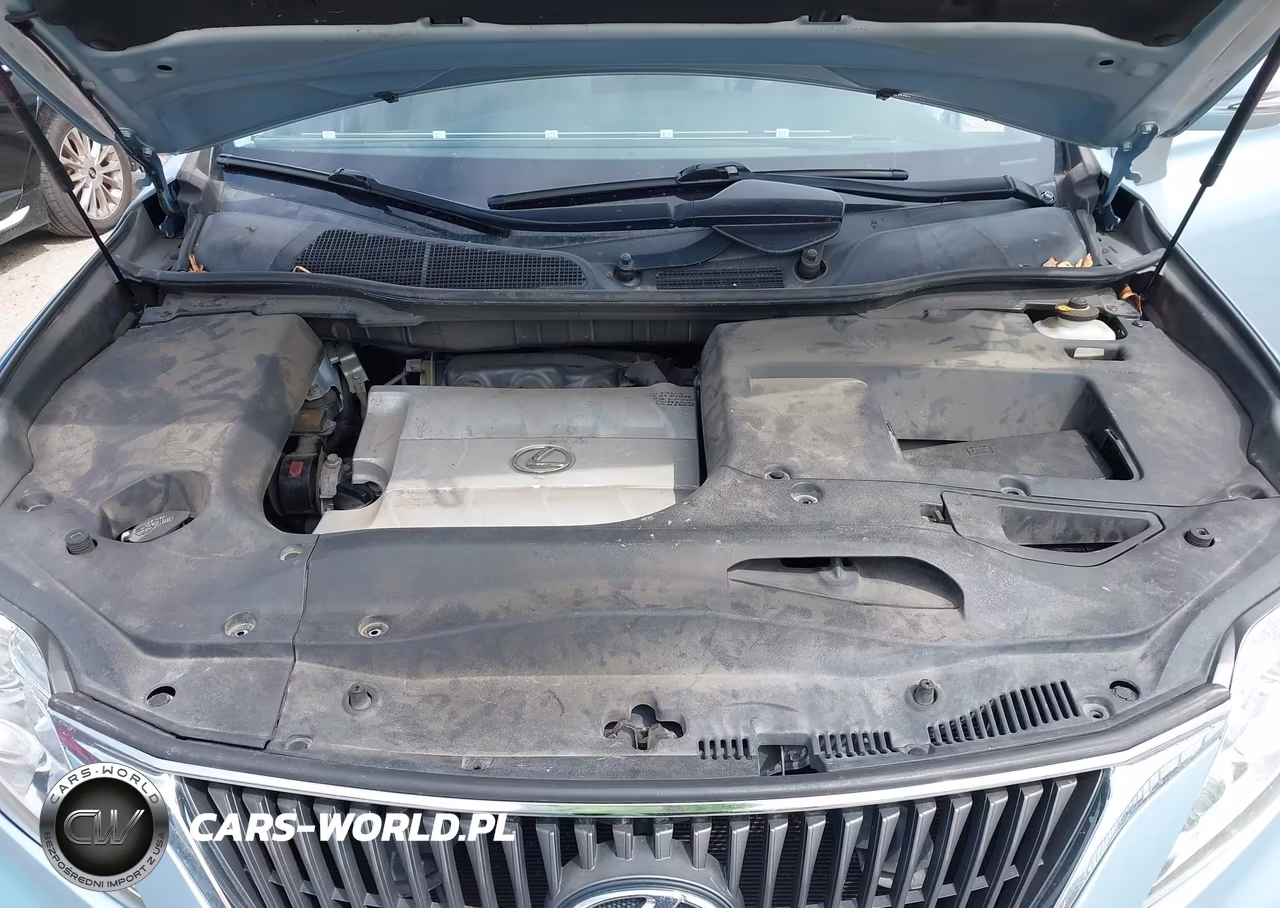 2010 Lexus Rx 350 VIN:JTJZK1BA5A2400118 - 10