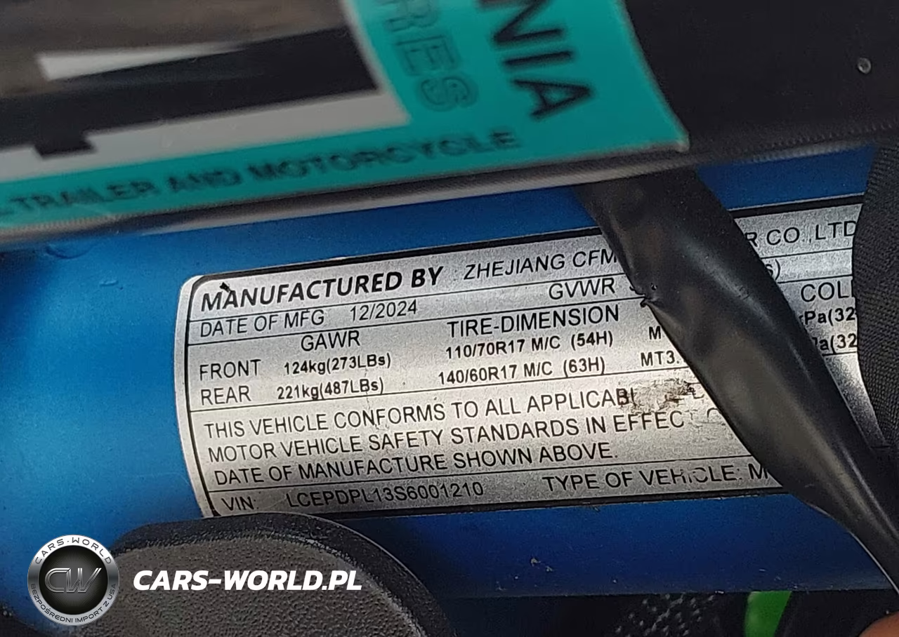 2025 Cf Moto 300Nk VIN:LCEPDPL13S6001210 - 10