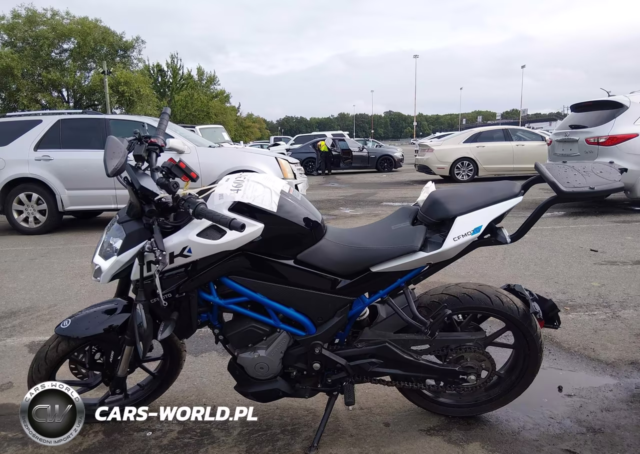 2025 Cf Moto 300Nk VIN:LCEPDPL13S6001210 - 13