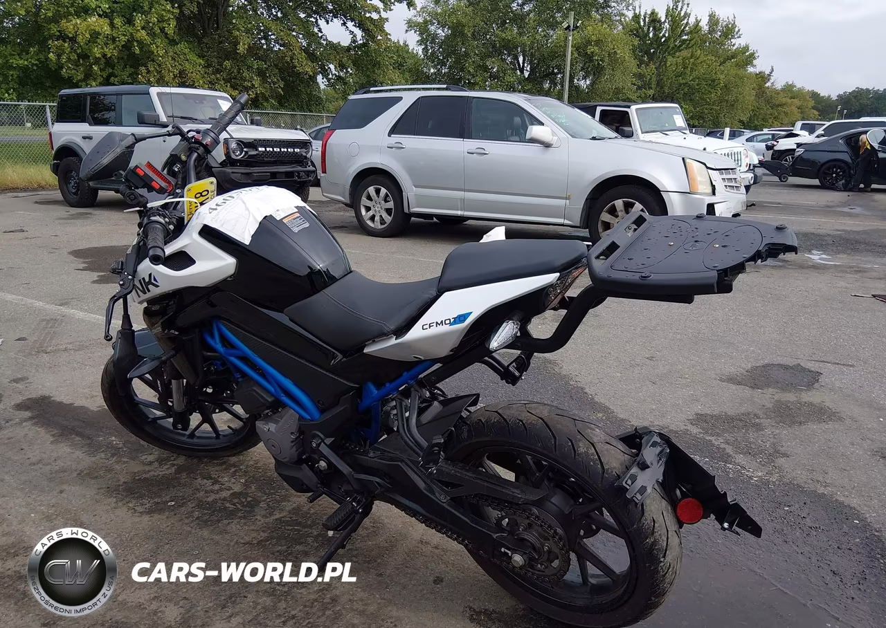 2025 Cf Moto 300Nk VIN:LCEPDPL13S6001210 - 3