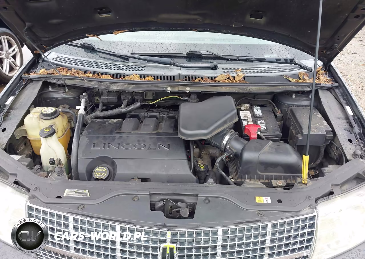 2007 Lincoln Mkx VIN:2LMDU88CX7BJ30895 - 10