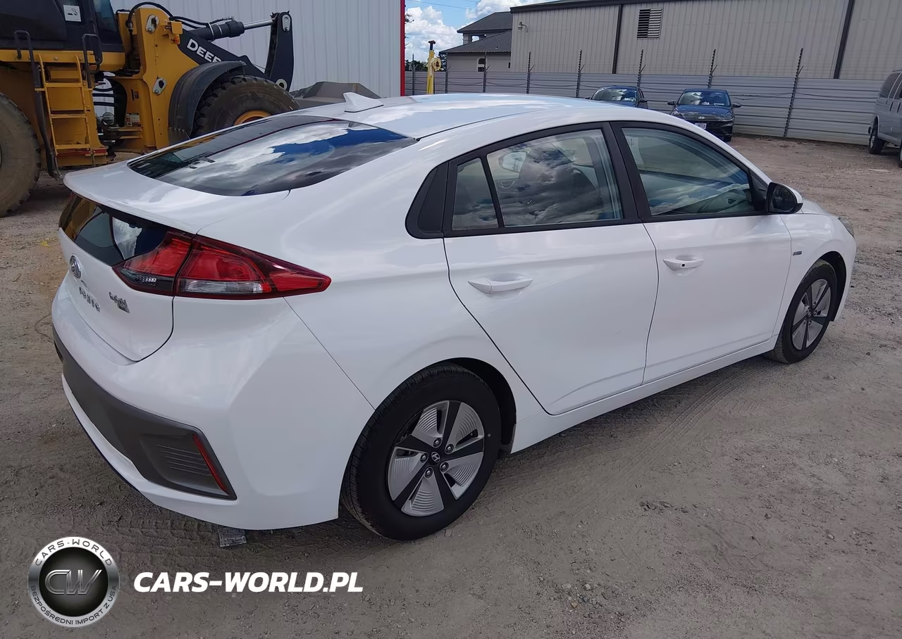 2020 Hyundai Ioniq Hybrid Blue VIN:KMHC65LC9LU233317 - 4