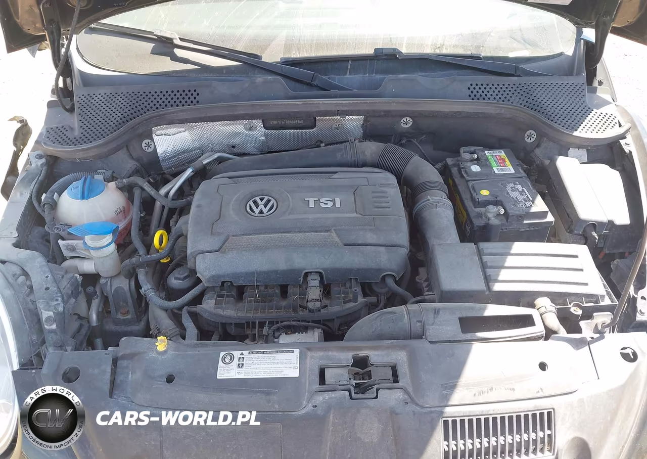2014 Volkswagen Beetle 1.8T Entry VIN:3VWF17AT9EM643246 - 10