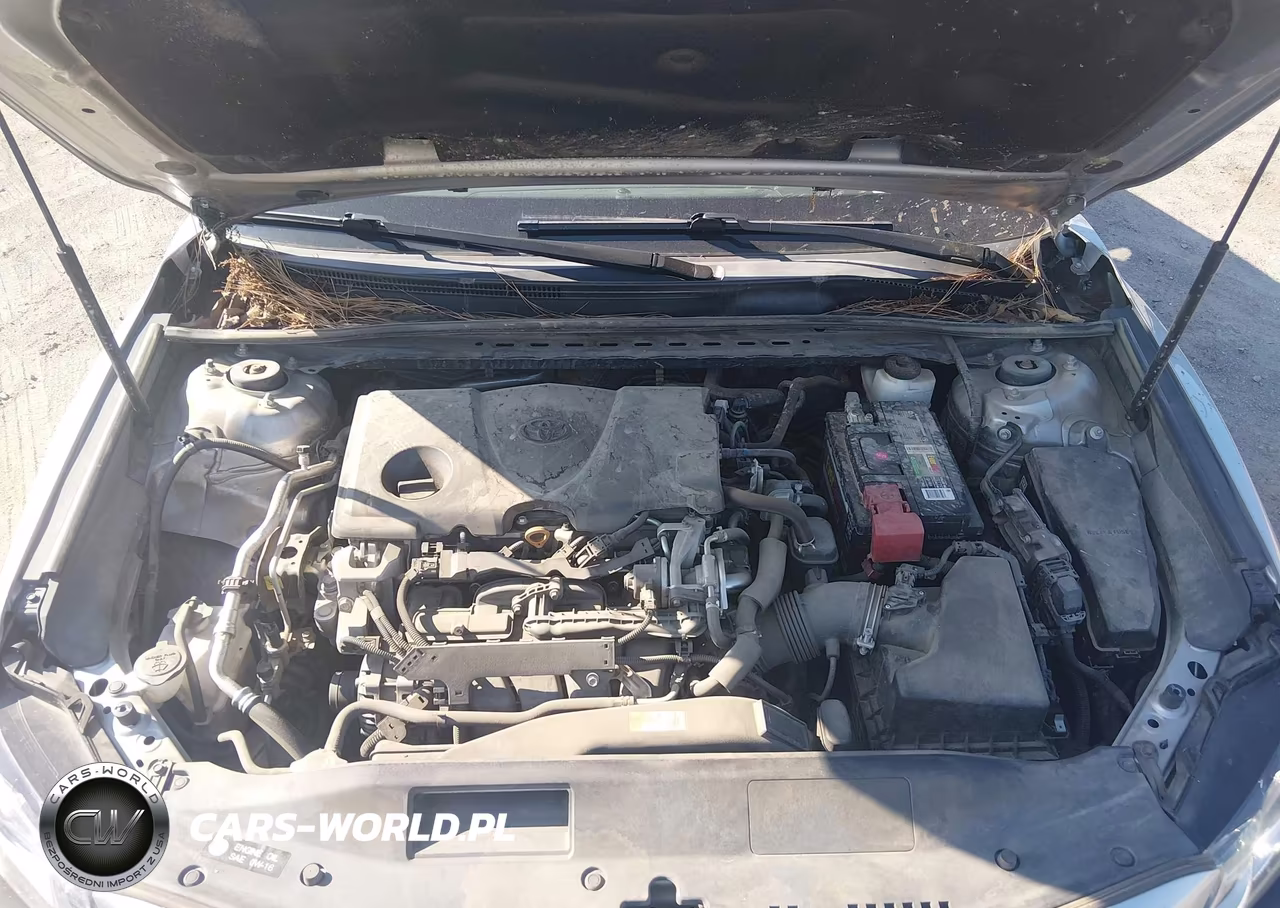 2019 Toyota Camry Se VIN:4T1B11HK0KU762592 - 10