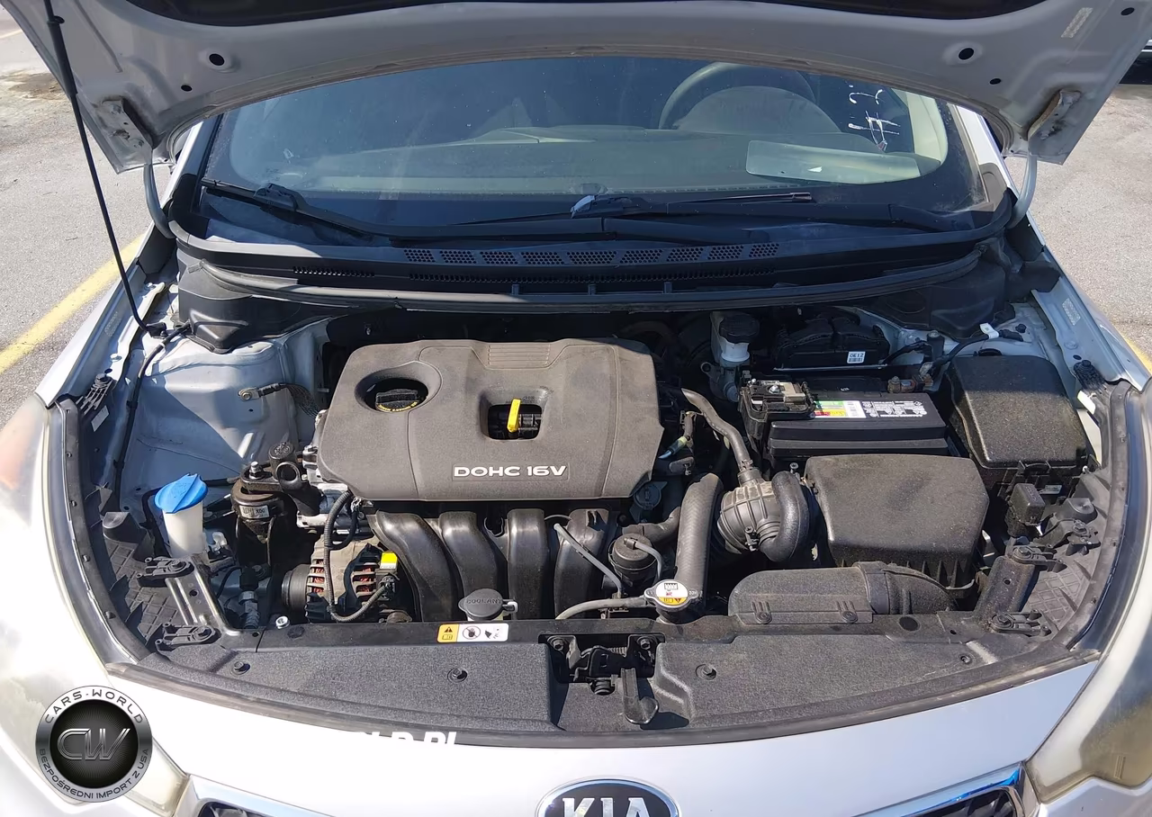 2014 Kia Forte Lx VIN:KNAFK4A67E5251295 - 10