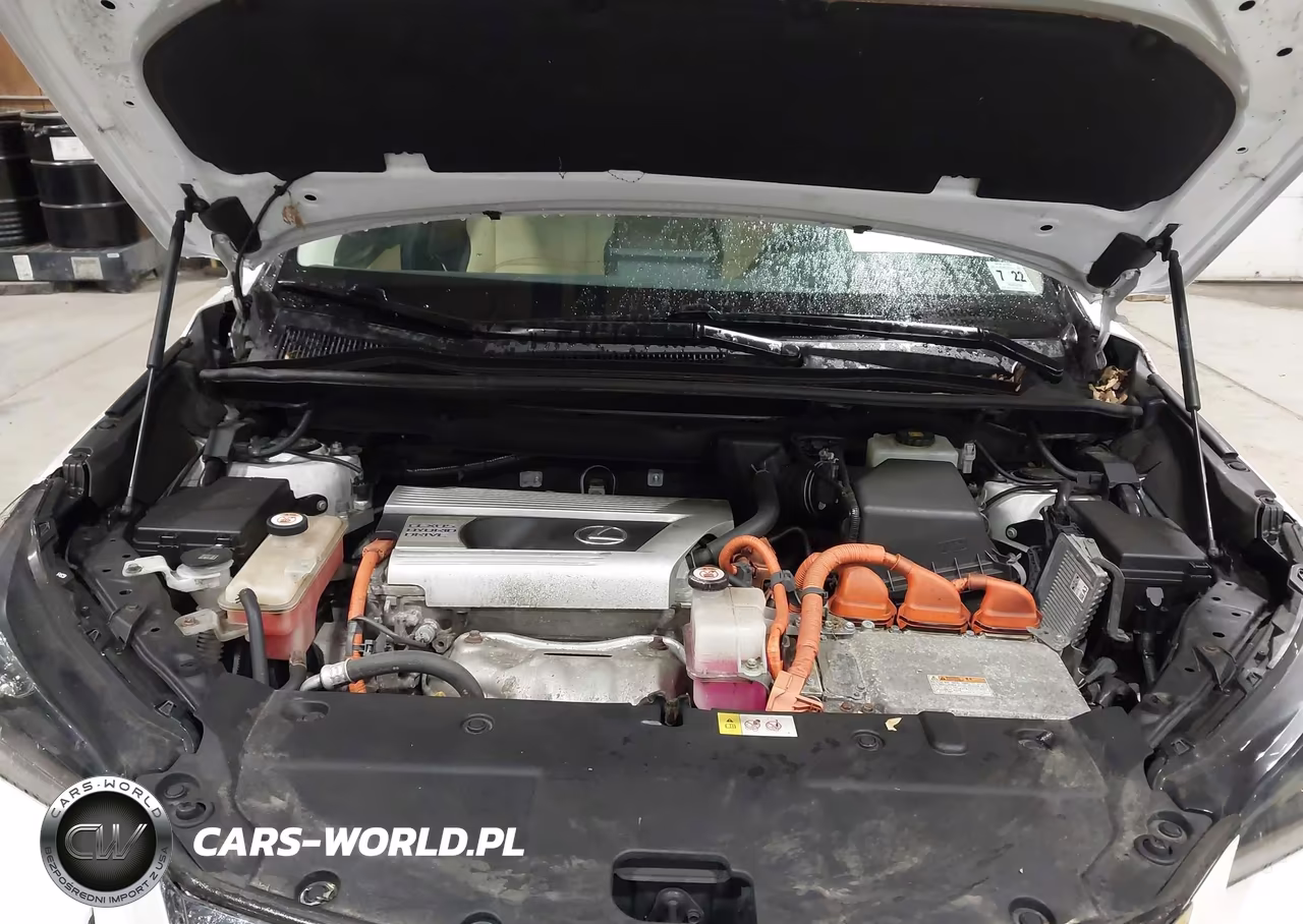 2017 Lexus Nx 300H VIN:JTJBJRBZ5H2066594 - 10