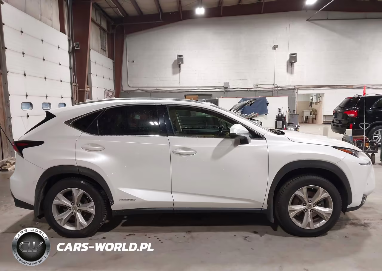 2017 Lexus Nx 300H VIN:JTJBJRBZ5H2066594 - 13