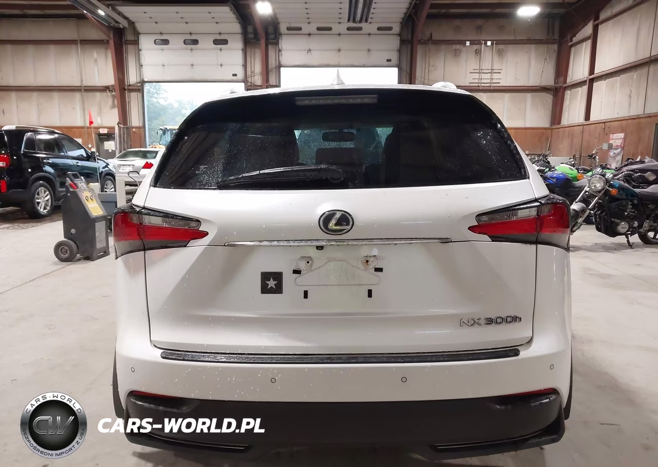 2017 Lexus Nx 300H VIN:JTJBJRBZ5H2066594 - 16