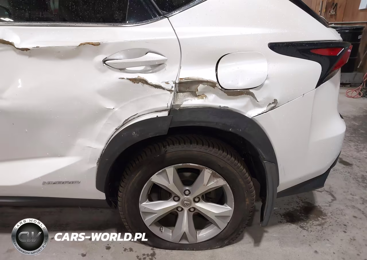 2017 Lexus Nx 300H VIN:JTJBJRBZ5H2066594 - 18