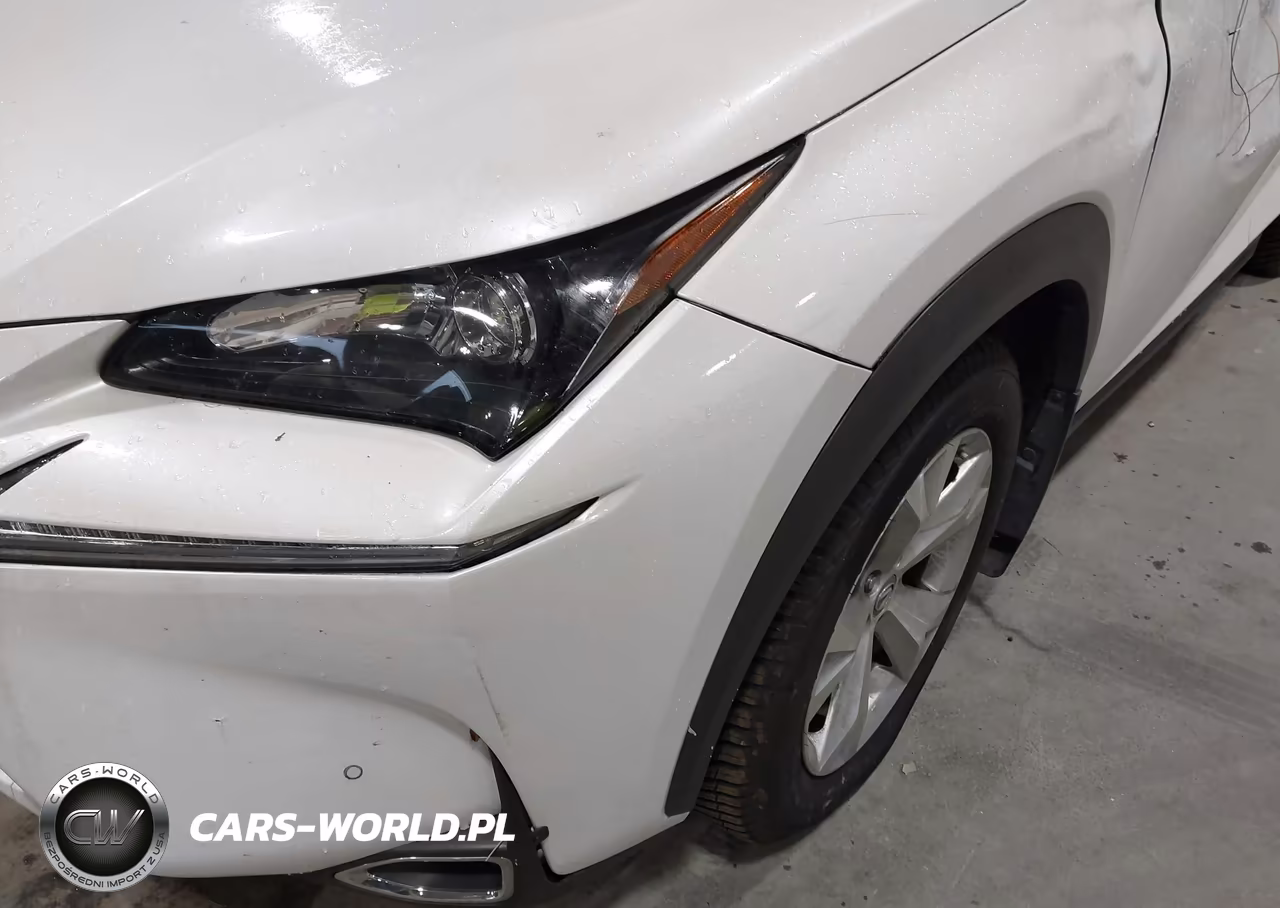 2017 Lexus Nx 300H VIN:JTJBJRBZ5H2066594 - 19