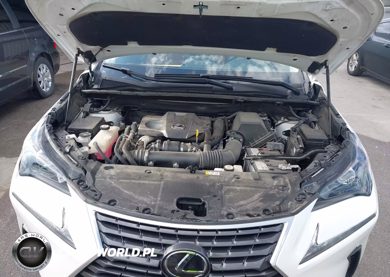 2020 Lexus Nx 300 VIN:JTJDARDZ2L2236280 - 10