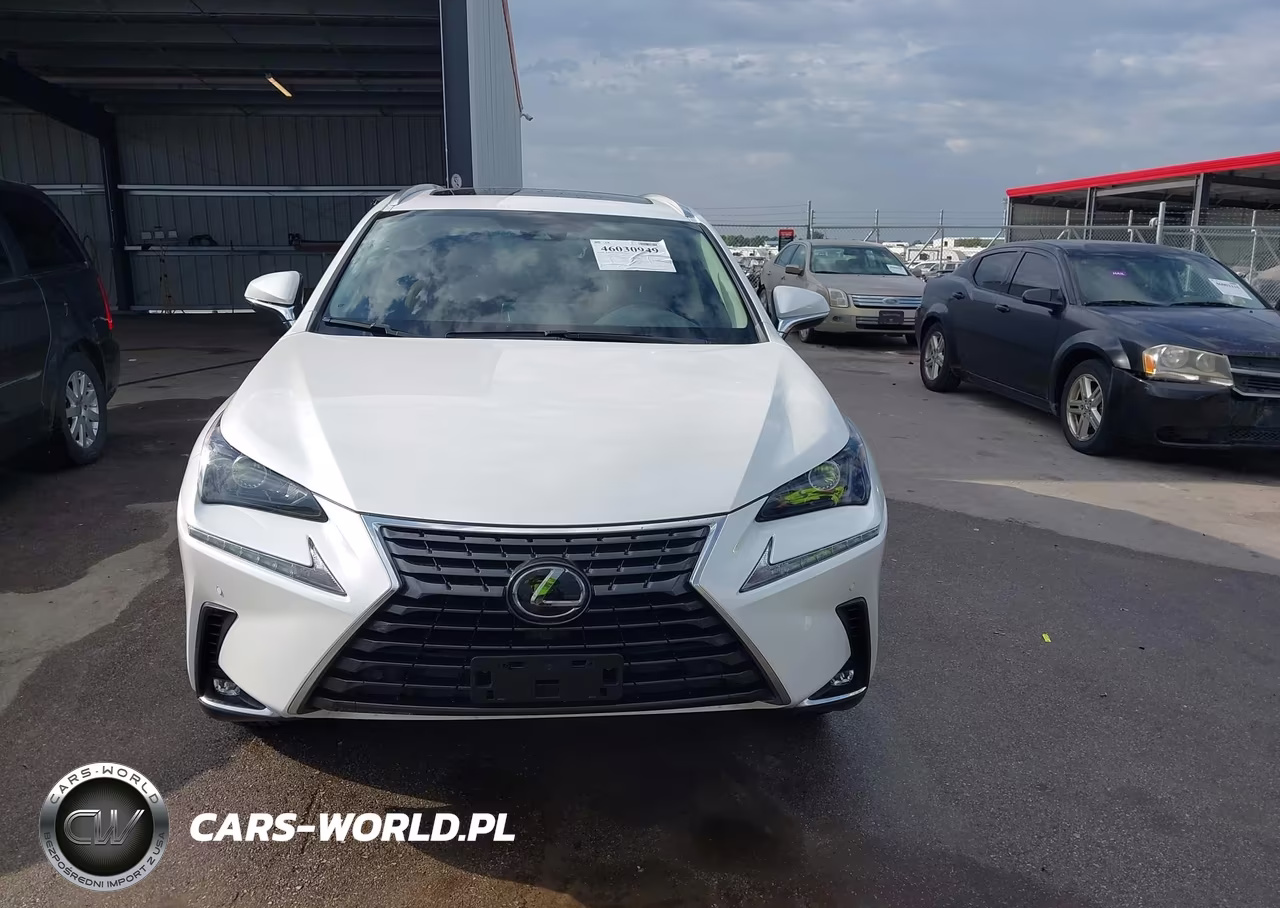 2020 Lexus Nx 300 VIN:JTJDARDZ2L2236280 - 12