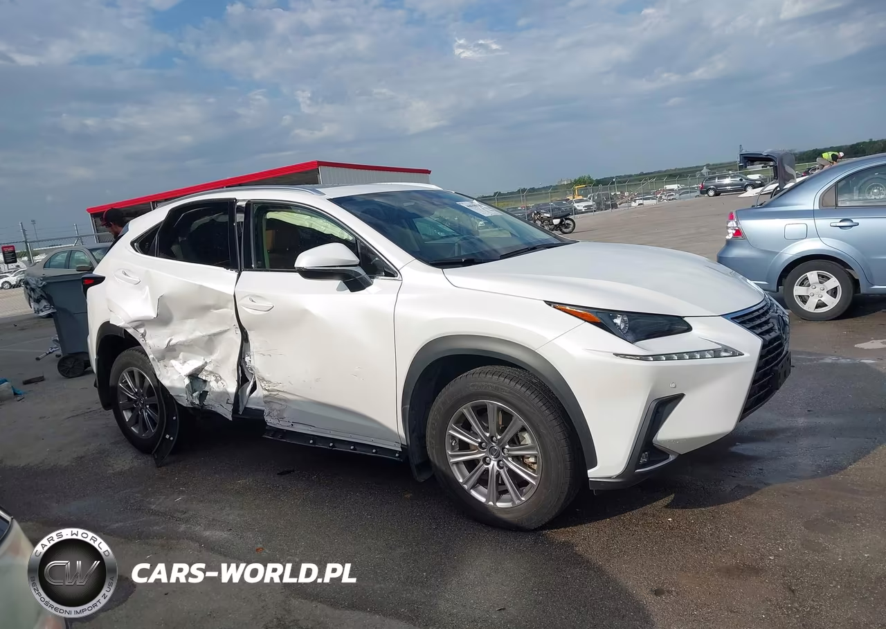 2020 Lexus Nx 300 VIN:JTJDARDZ2L2236280 - 13