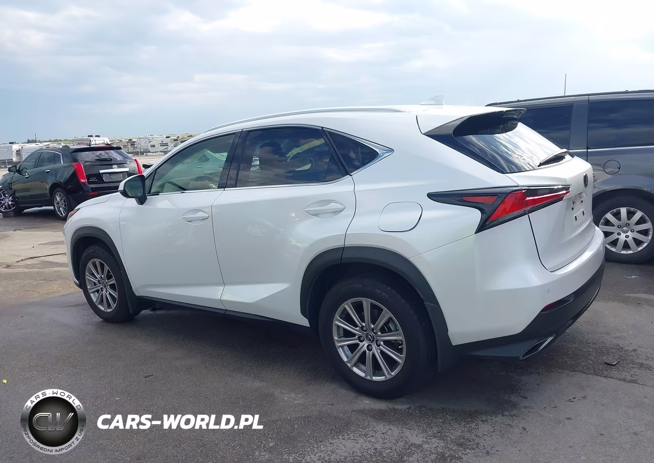 2020 Lexus Nx 300 VIN:JTJDARDZ2L2236280 - 14