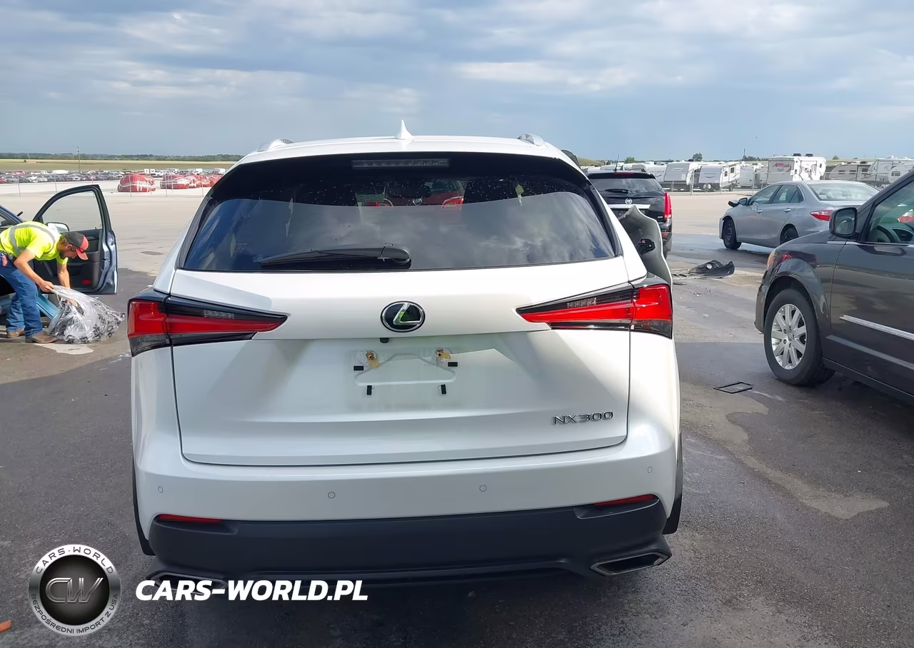 2020 Lexus Nx 300 VIN:JTJDARDZ2L2236280 - 16
