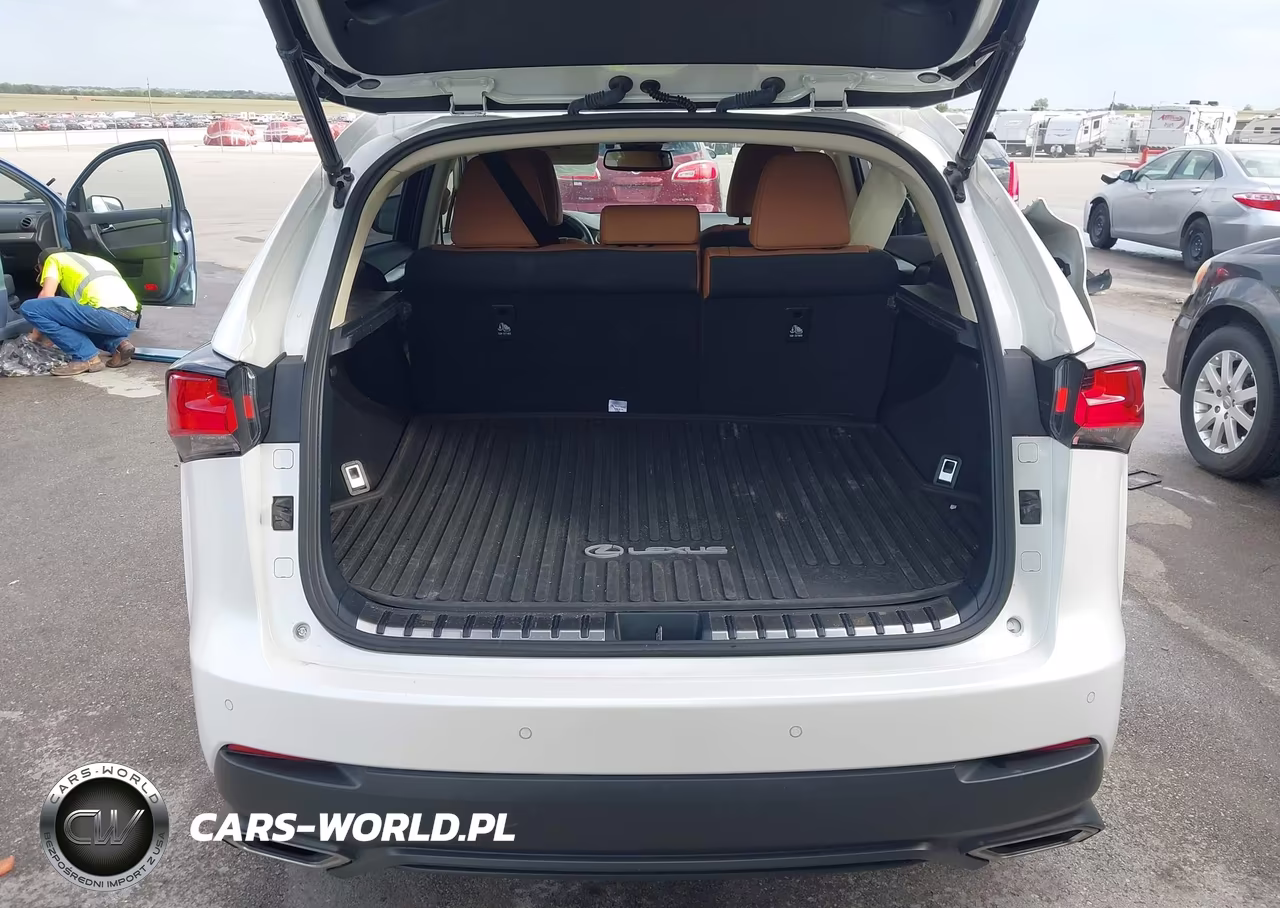2020 Lexus Nx 300 VIN:JTJDARDZ2L2236280 - 17