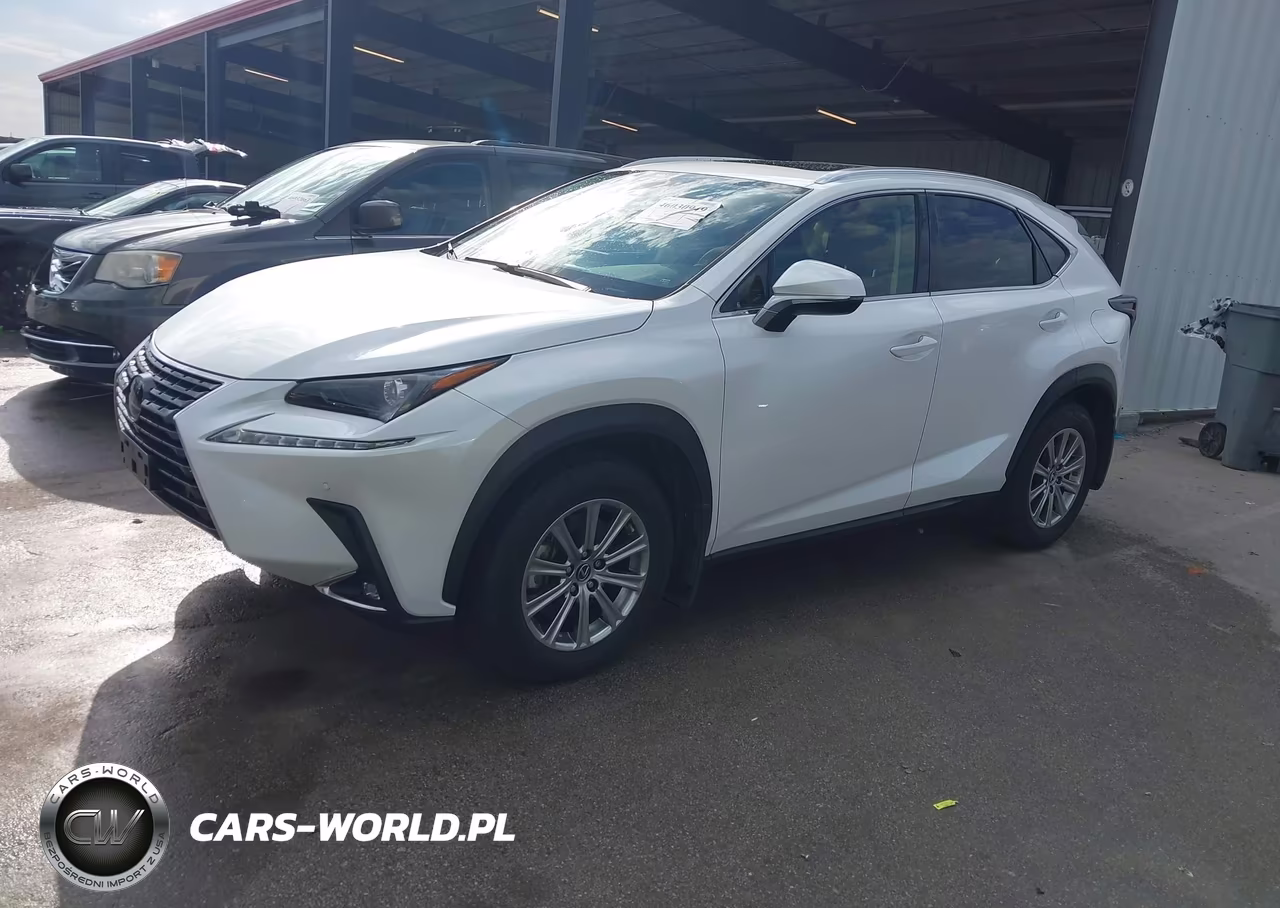 2020 Lexus Nx 300 VIN:JTJDARDZ2L2236280 - 2