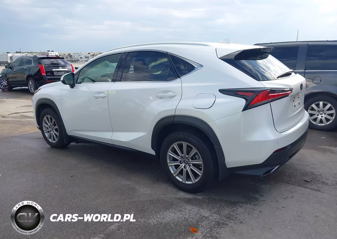 2020 Lexus Nx 300 VIN:JTJDARDZ2L2236280 - 3