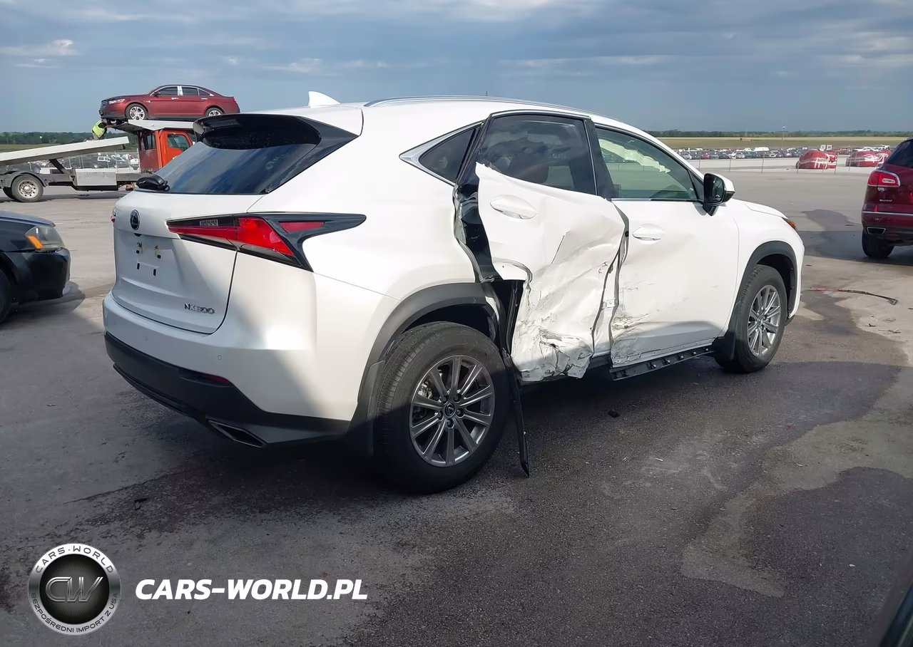 2020 Lexus Nx 300 VIN:JTJDARDZ2L2236280 - 4