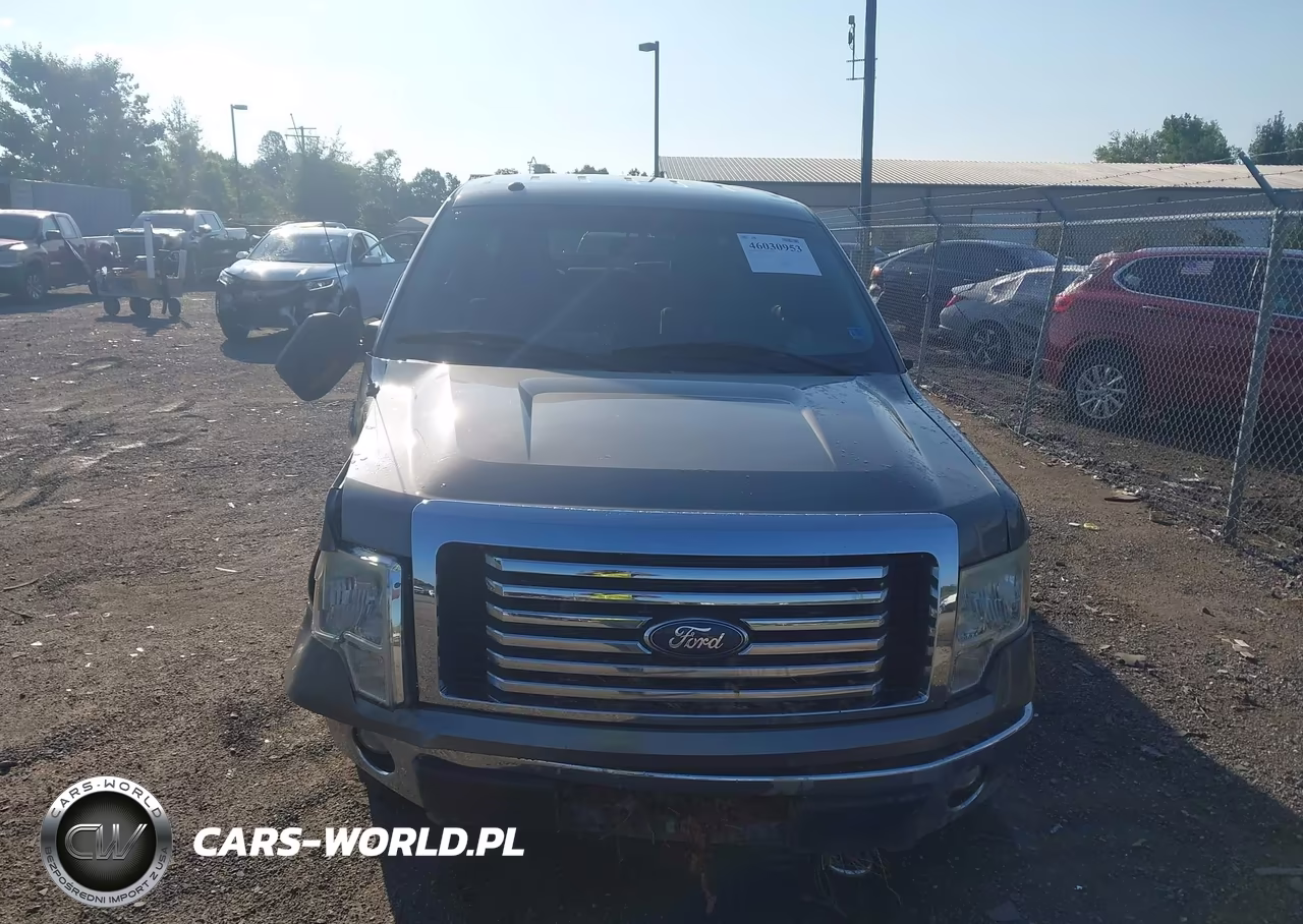 2010 Ford F-150 Xl-Xlt VIN:1FTEW1E85AFD48142 - 12