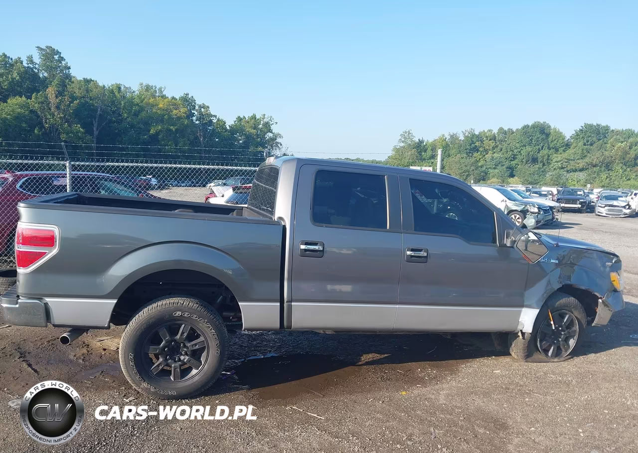 2010 Ford F-150 Xl-Xlt VIN:1FTEW1E85AFD48142 - 13