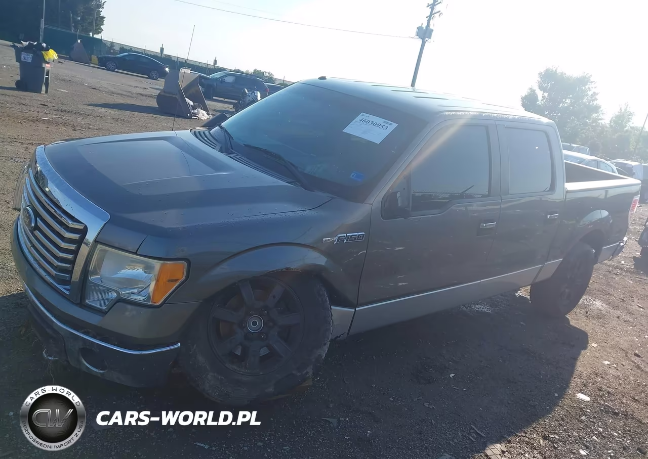 2010 Ford F-150 Xl-Xlt VIN:1FTEW1E85AFD48142 - 14