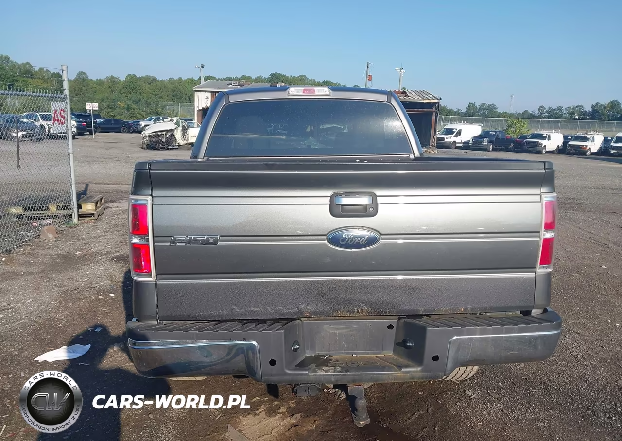 2010 Ford F-150 Xl-Xlt VIN:1FTEW1E85AFD48142 - 16