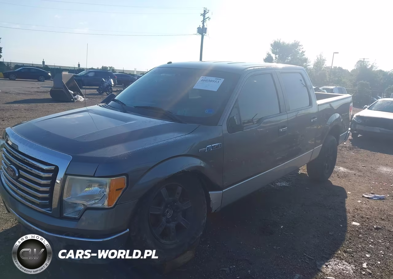 2010 Ford F-150 Xl-Xlt VIN:1FTEW1E85AFD48142 - 2