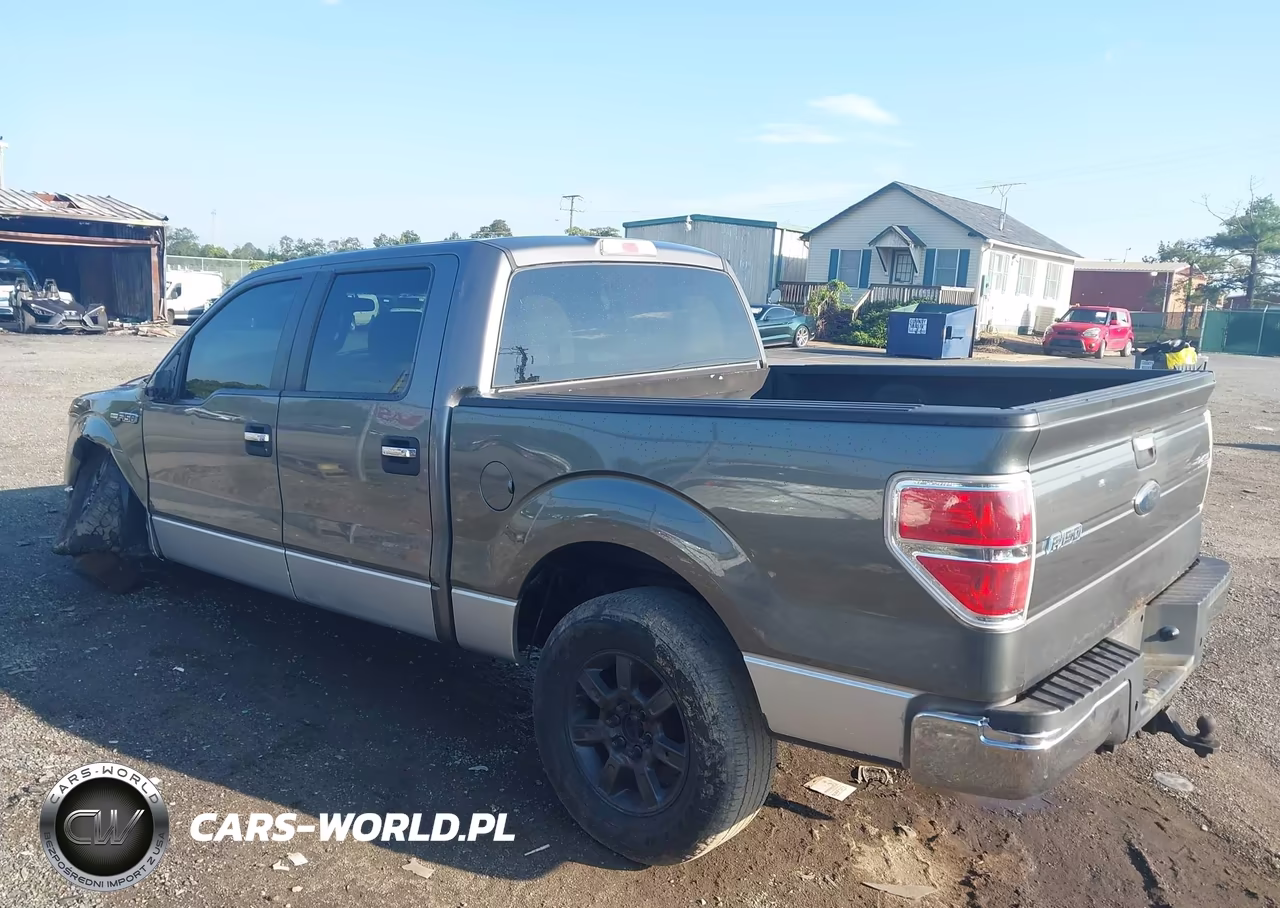 2010 Ford F-150 Xl-Xlt VIN:1FTEW1E85AFD48142 - 3